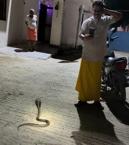 आधी रात पाकुड़ SDPO विजय कुमार के घर पहुंचा 5.5 फीट का ‘फरियादी’! दरवाजे पर फन फैलाकर बैठा नाग, फिर शुरू हुआ हाई वोल्टेज ड्रामा पाकुड़ के महेशपुर में SDPO विजय कुमार के सरकारी आवास पर निकला 5.5 फीट लंबा भारतीय नाग, स्नेक रेस्क्यू के दौरान का दृश्य।